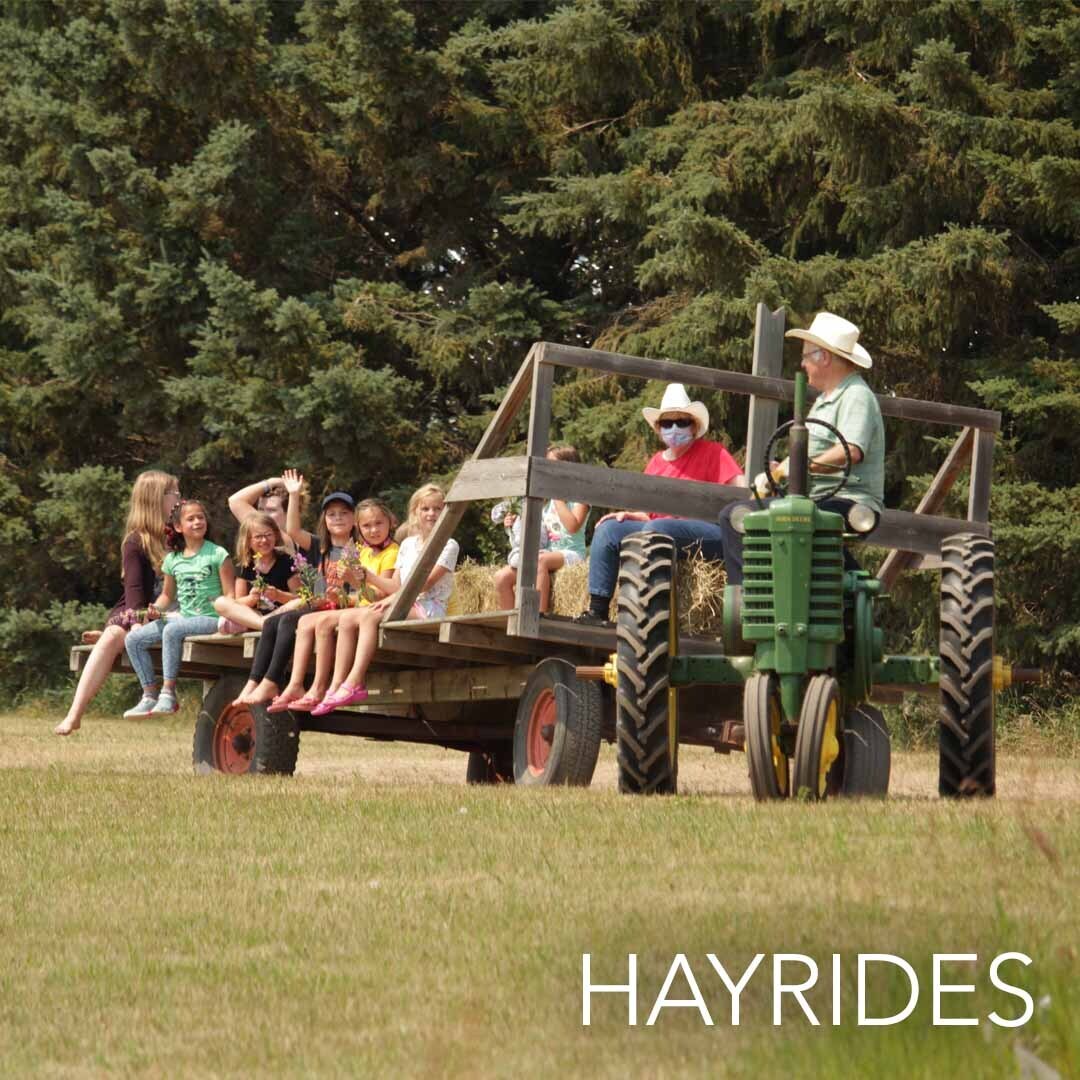 Hay Rides