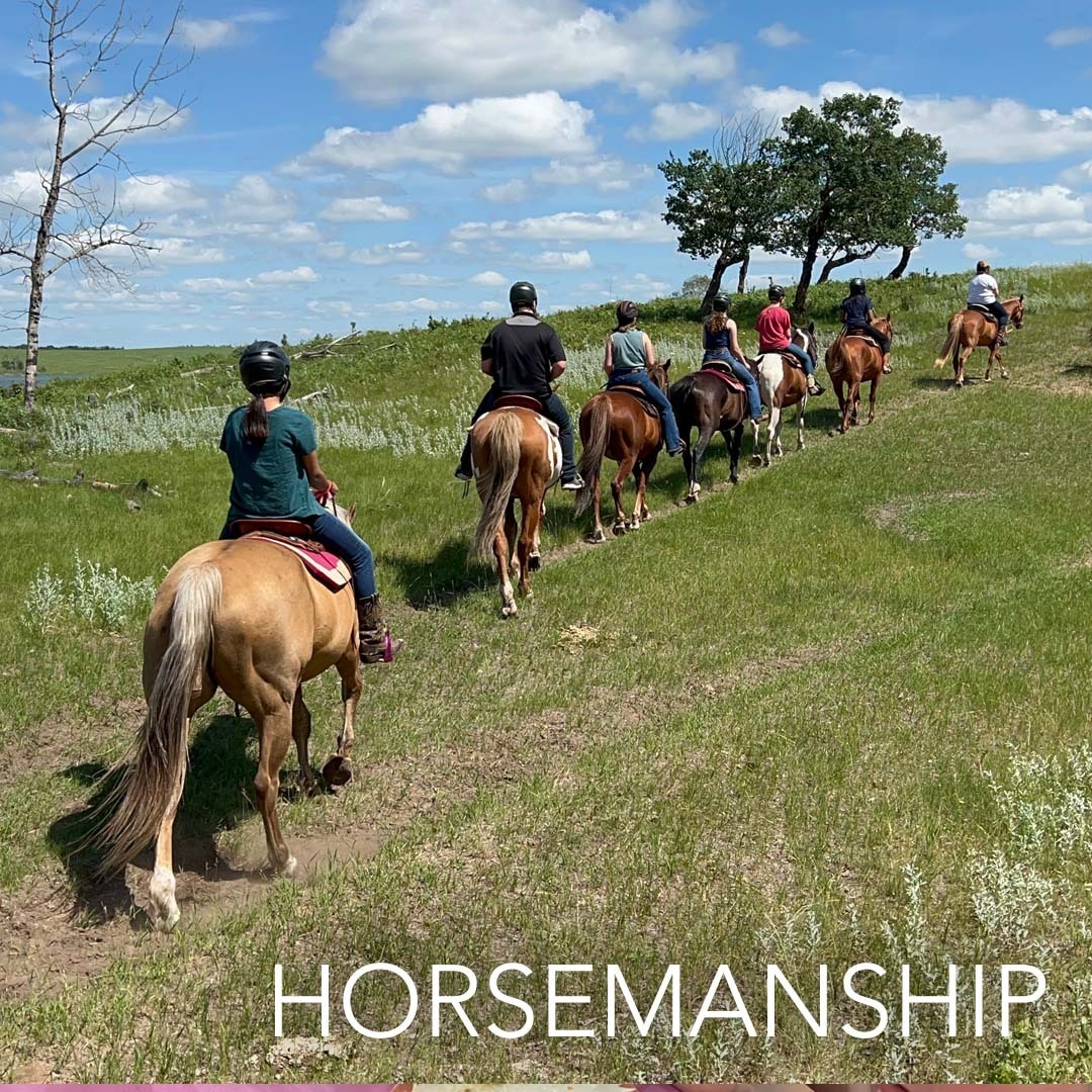 Horsemanship 2